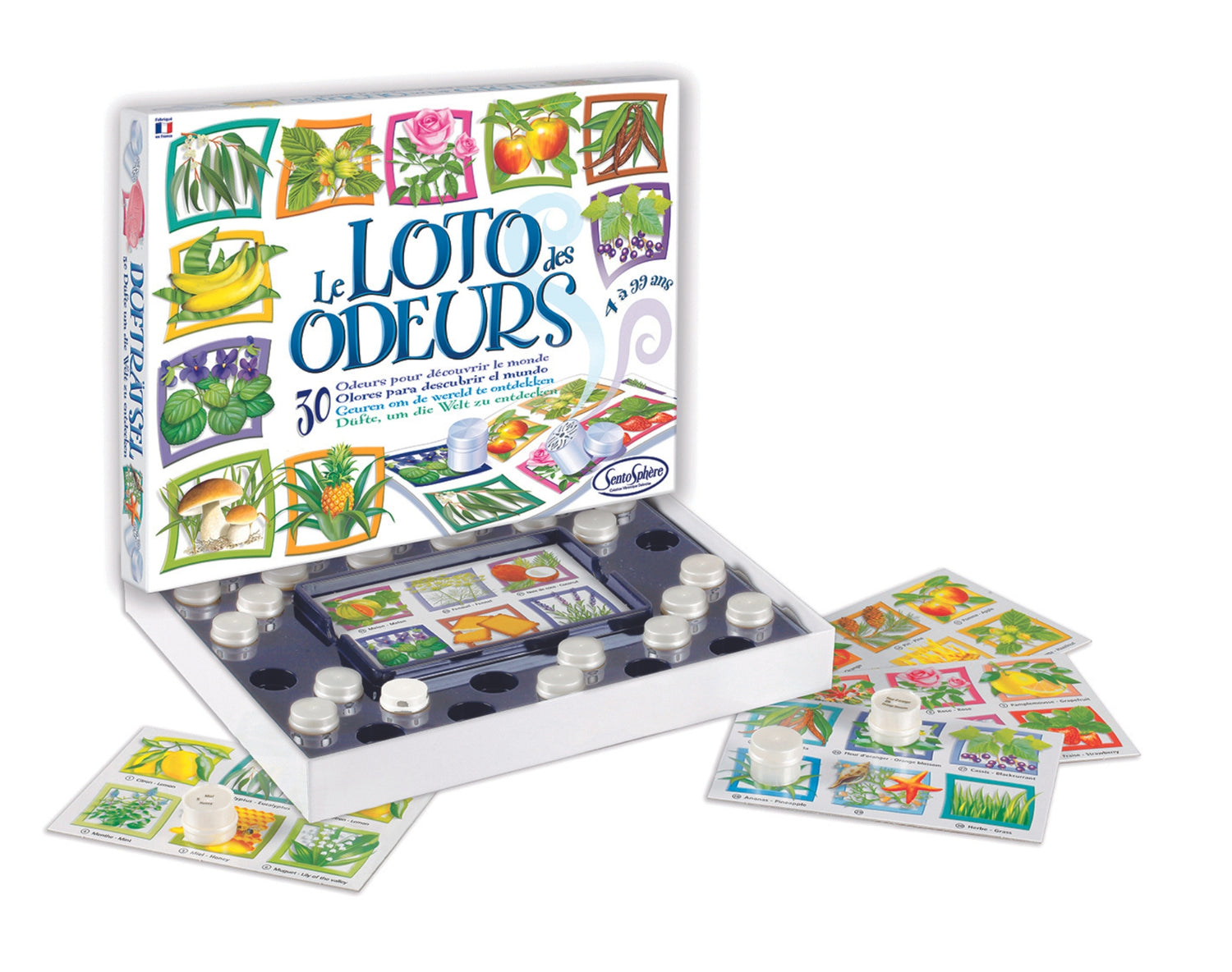 Joc educațional - Loto al aromelor