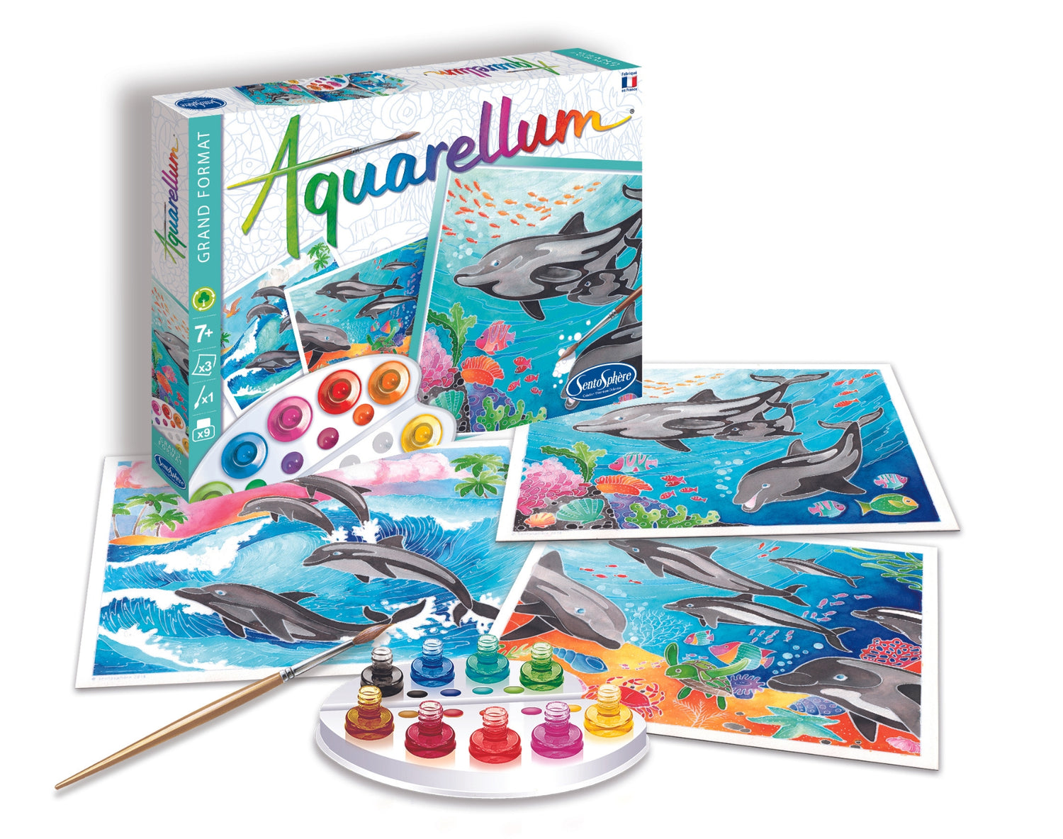 Aquarellum - Delfini