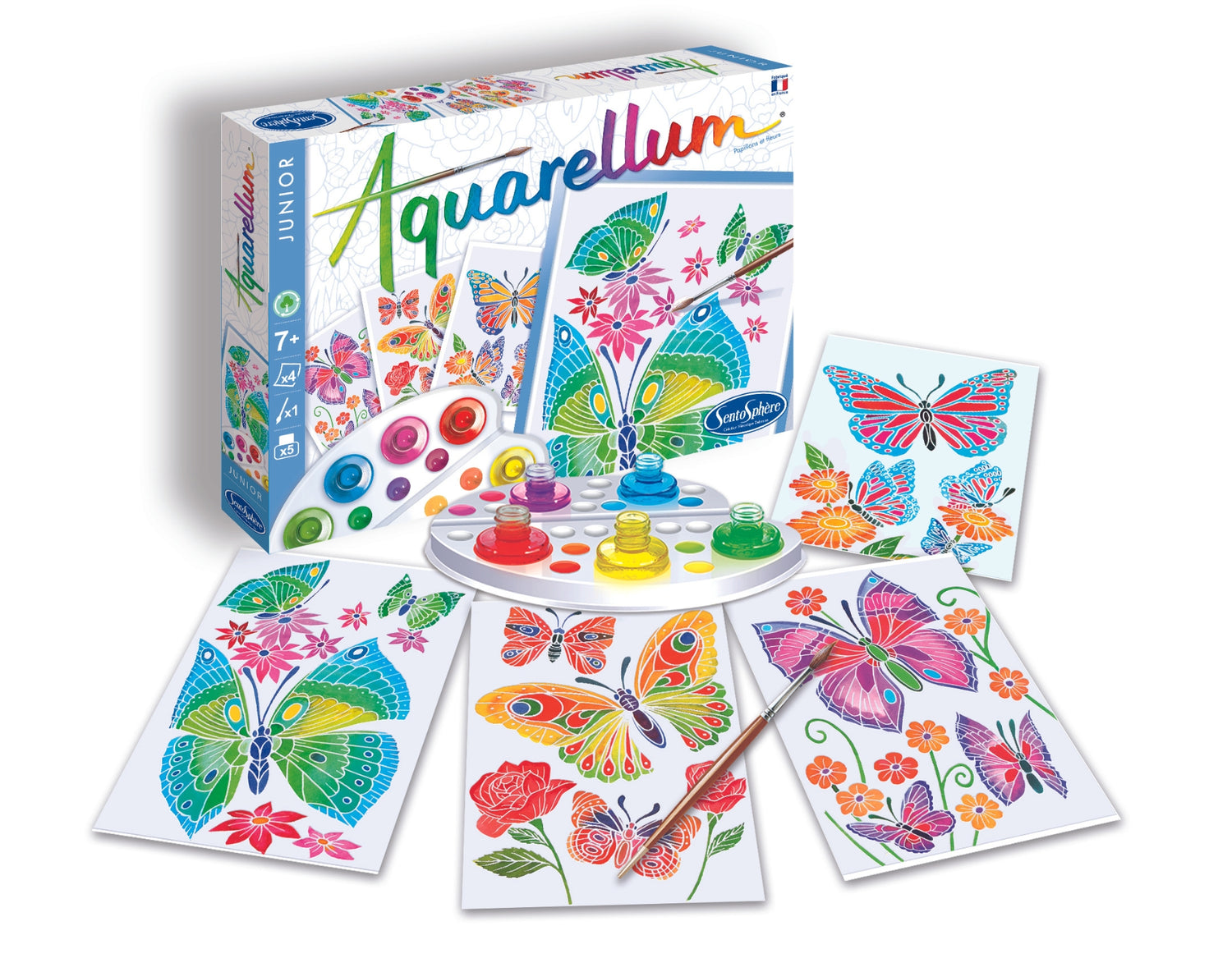 Aquarellum Junior - Metulj