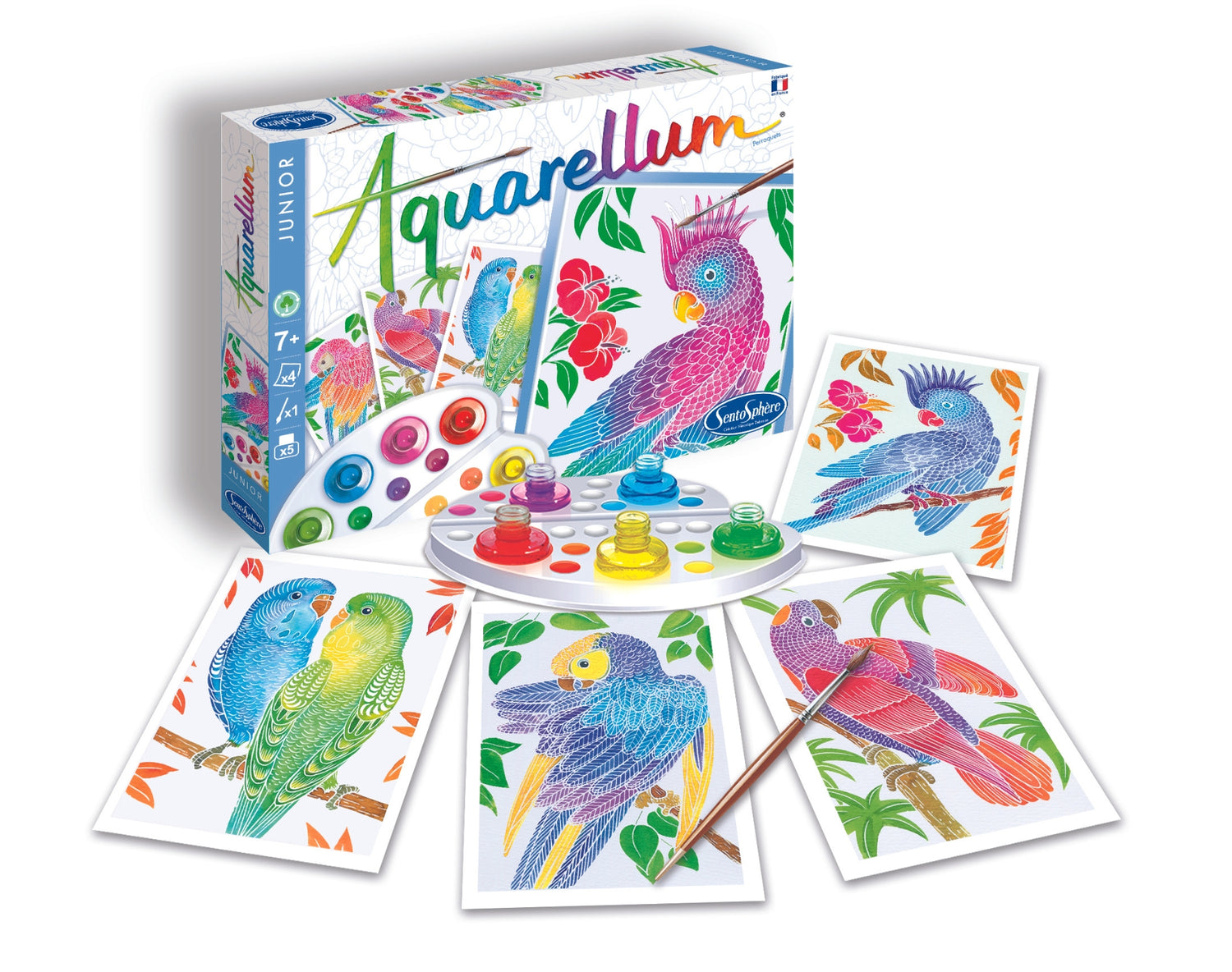 Slike - Aquarellum Junior - Papige