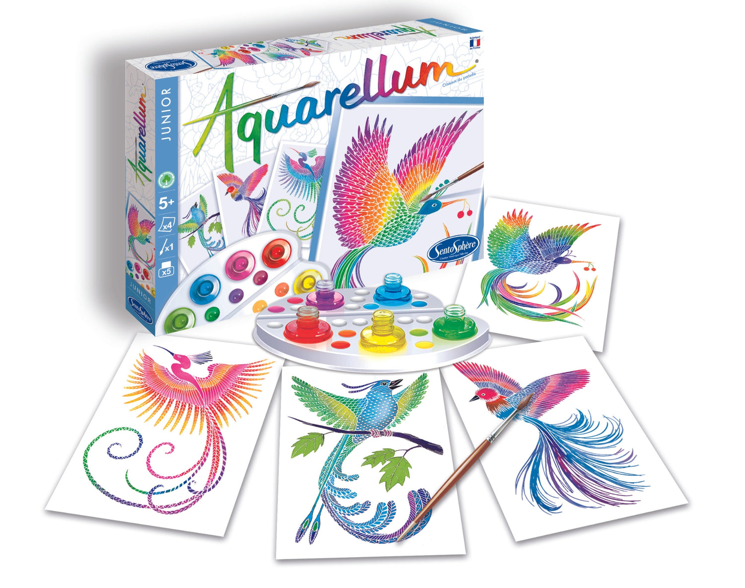 Aquarellum - Păsări